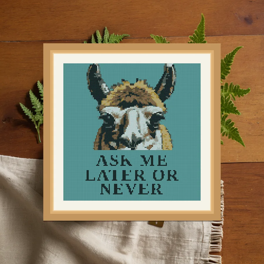 Ask Me Later Or Never cross stitch pattern