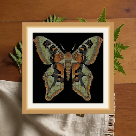 Atlas Moth cross stitch pattern