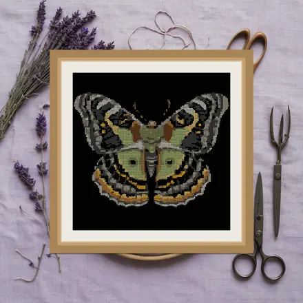 Emperor Moth cross stitch pattern