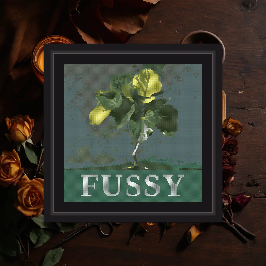Fussy cross stitch pattern