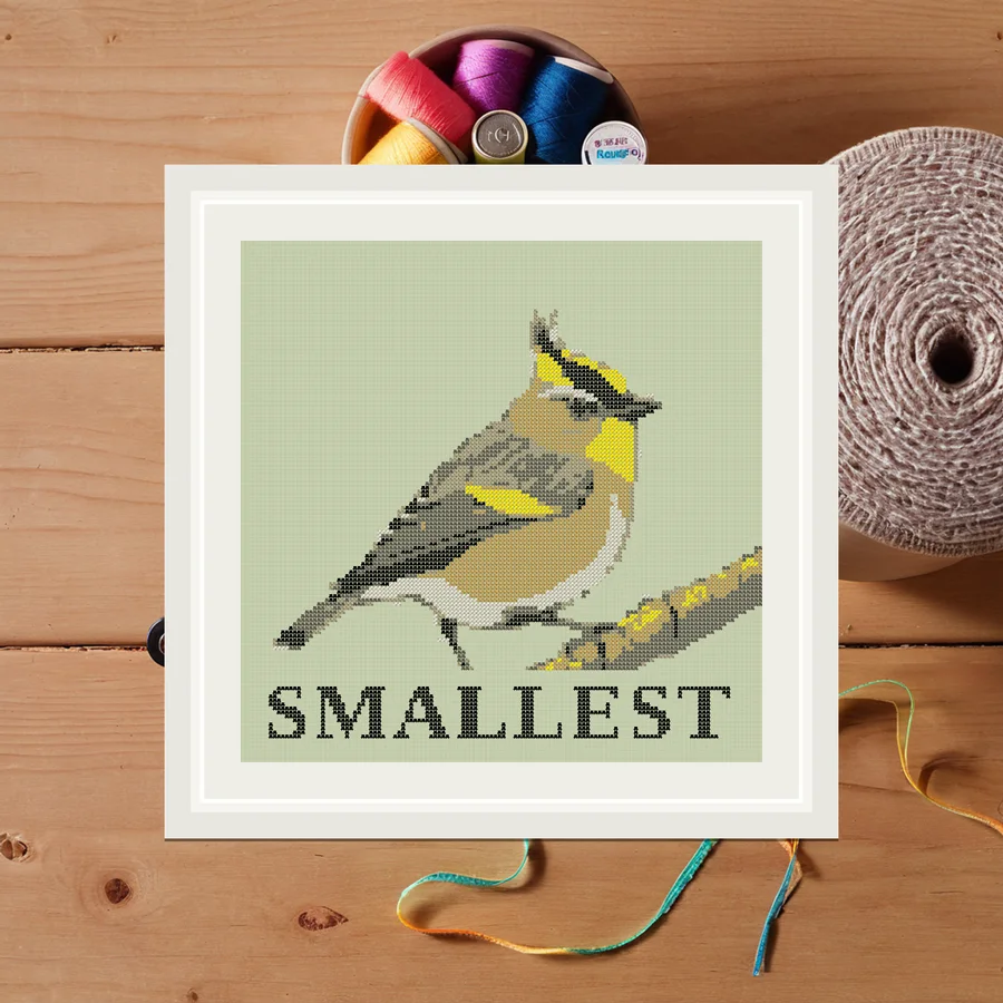 Smallest cross stitch pattern