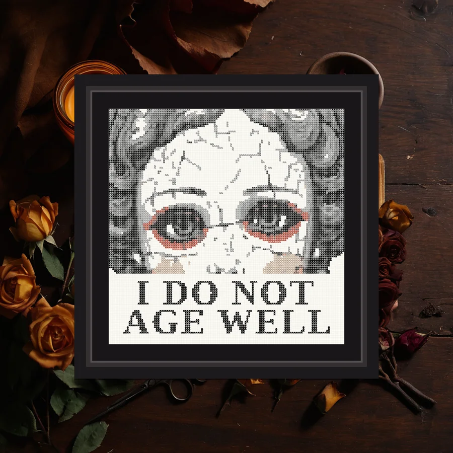 I Do Not Age Well cross stitch pattern