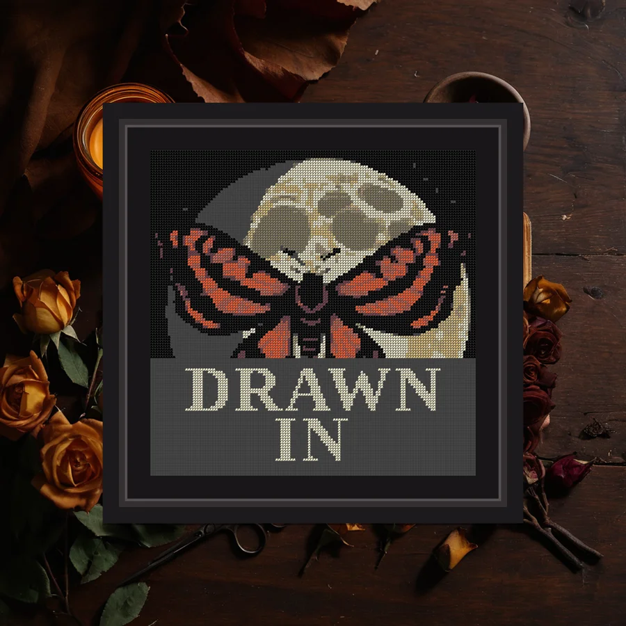 Drawn In cross stitch pattern