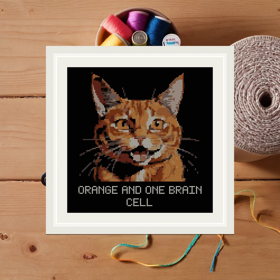 Orange And One Brain Cell cross stitch pattern