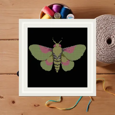 Rosy Maple Moth cross stitch pattern