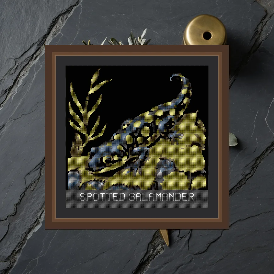 Spotted cross stitch pattern