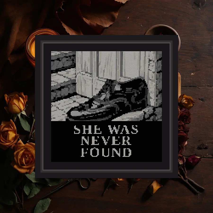She Was Never Found cross stitch pattern