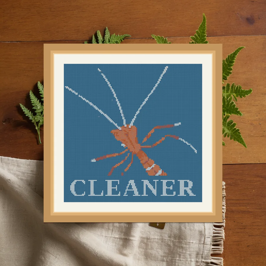 Cleaner cross stitch pattern