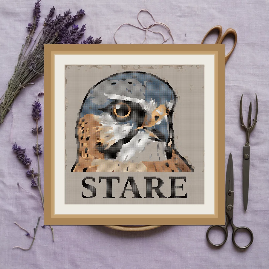 Stare cross stitch pattern