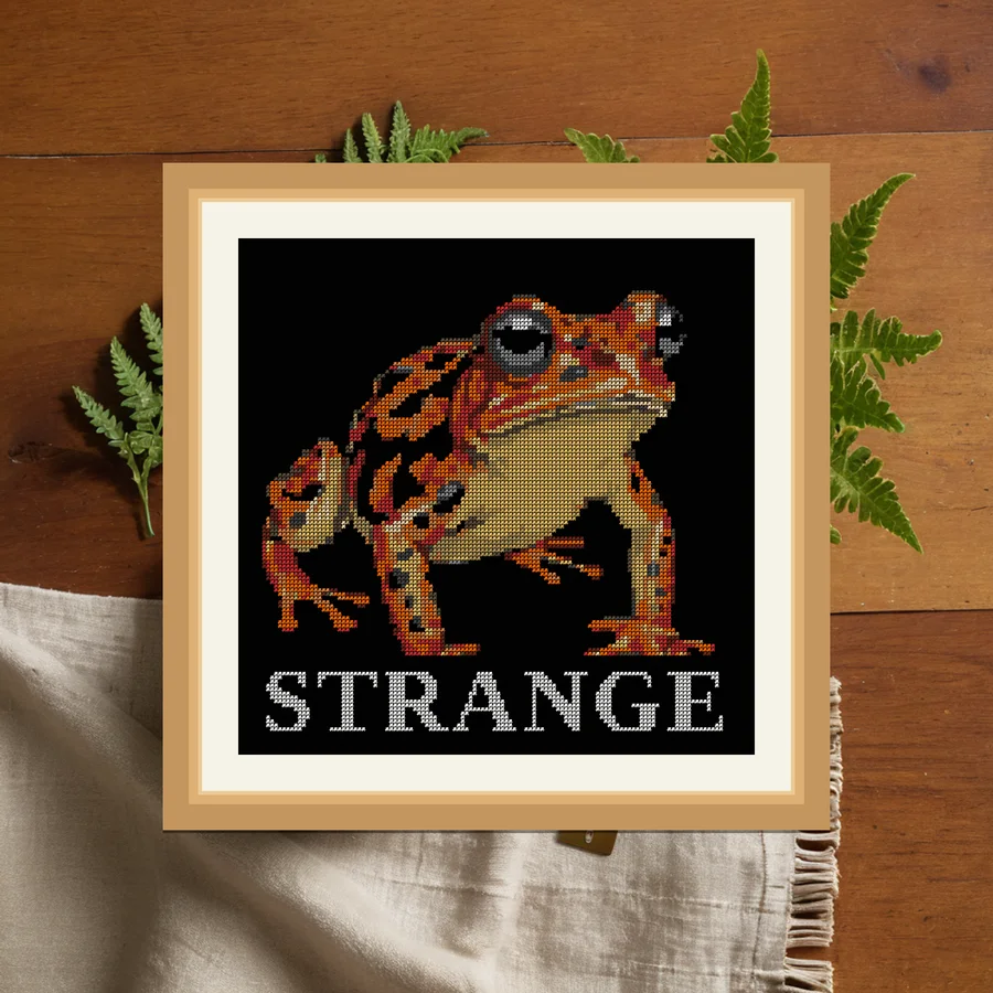 Strange cross stitch pattern
