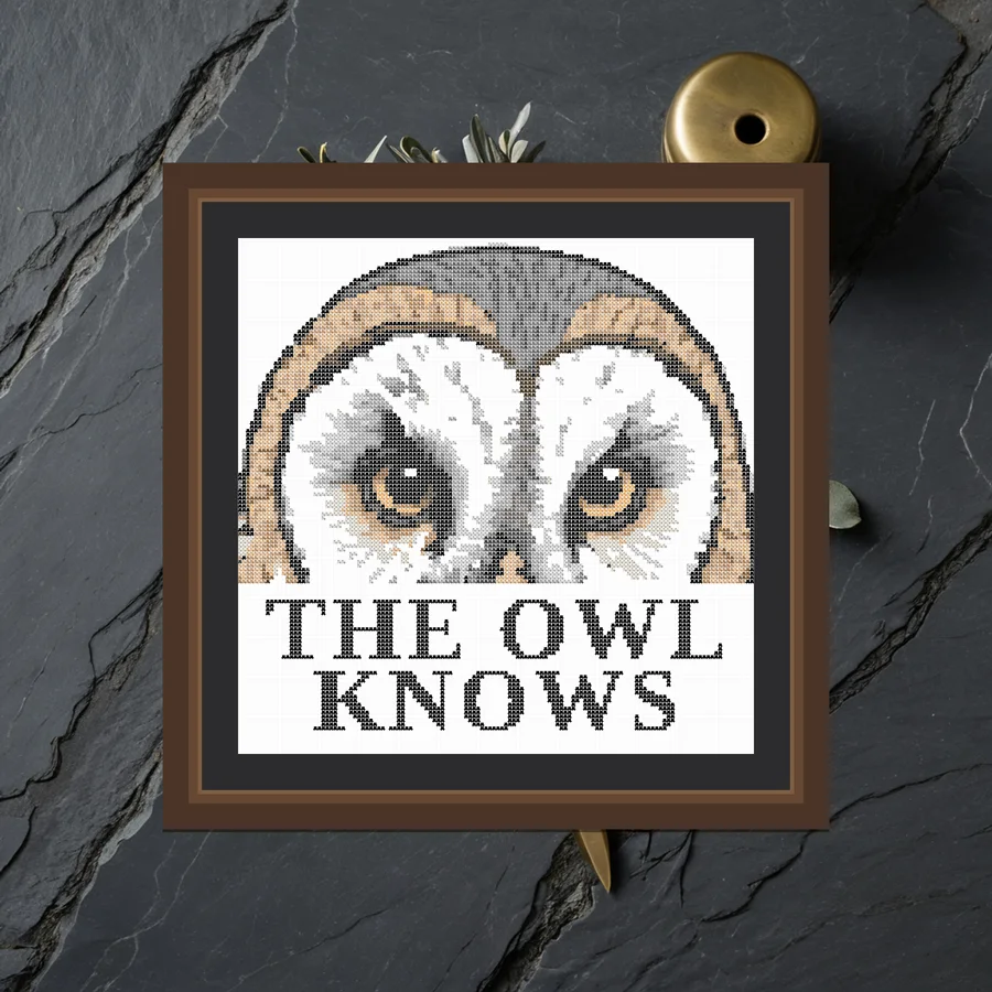 The Owl Knows cross stitch pattern