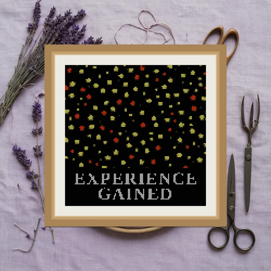 Experience Gained cross stitch pattern